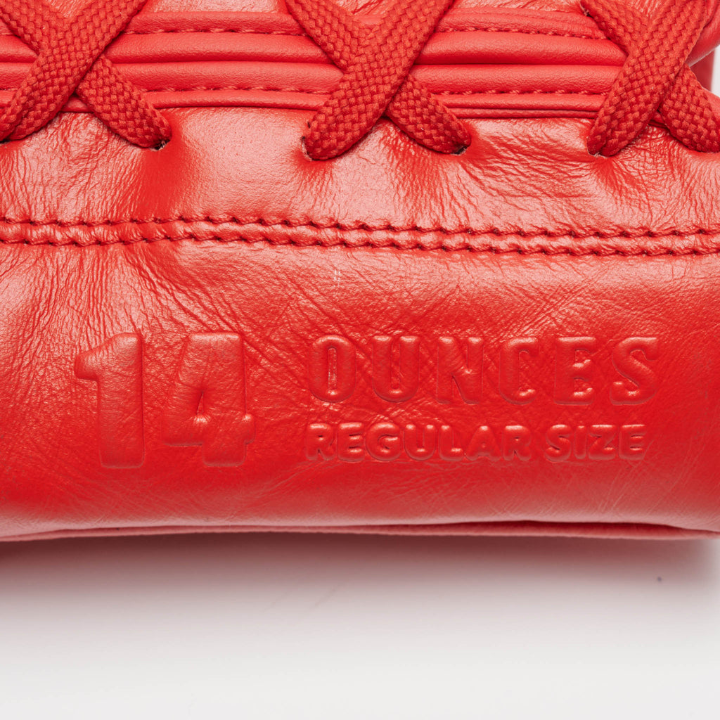 THE GREATEST BOXING GLOVES