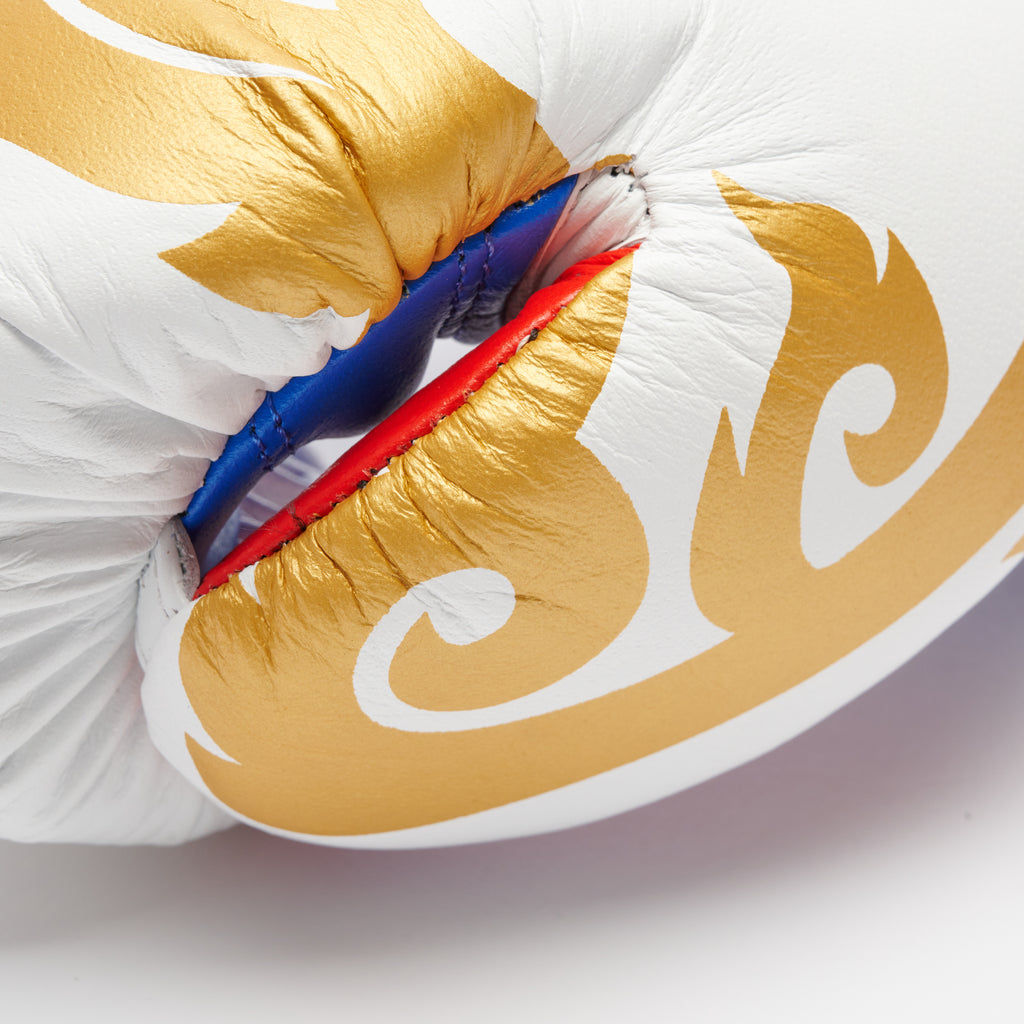 GUANTI BOXE THAI STYLE