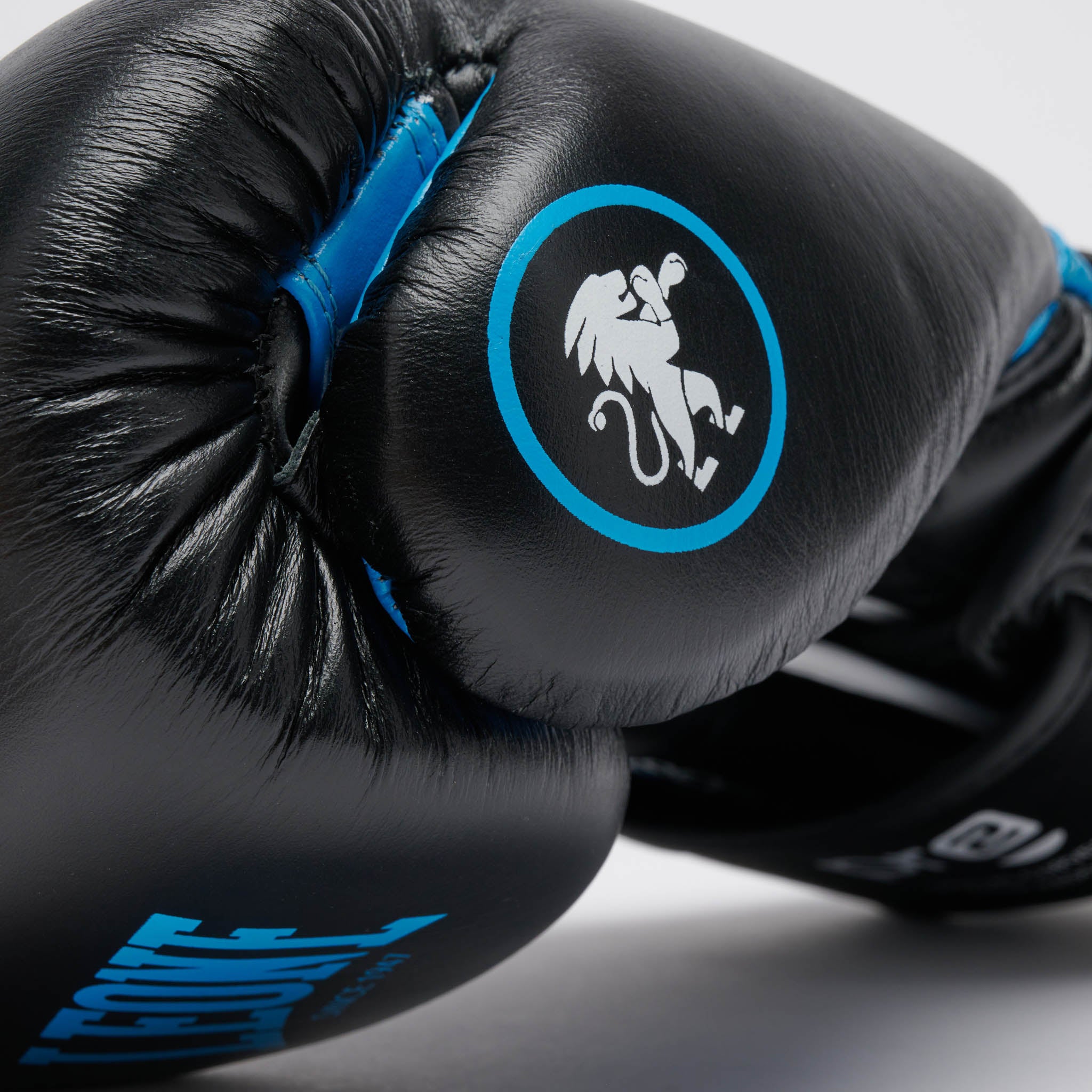 PROFESSIONAL 2 BOXING GLOVES