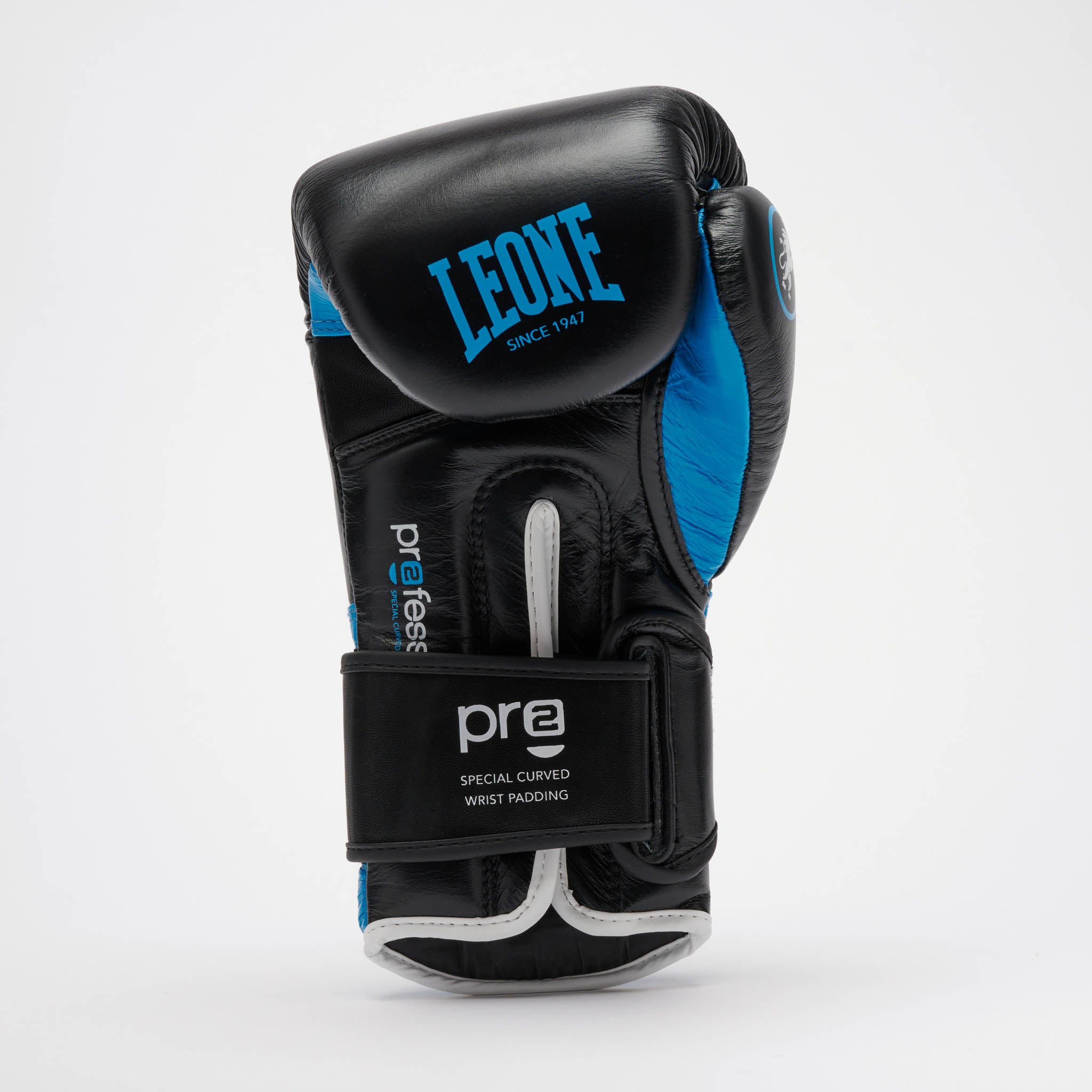 PROFESSIONAL 2 BOXING GLOVES
