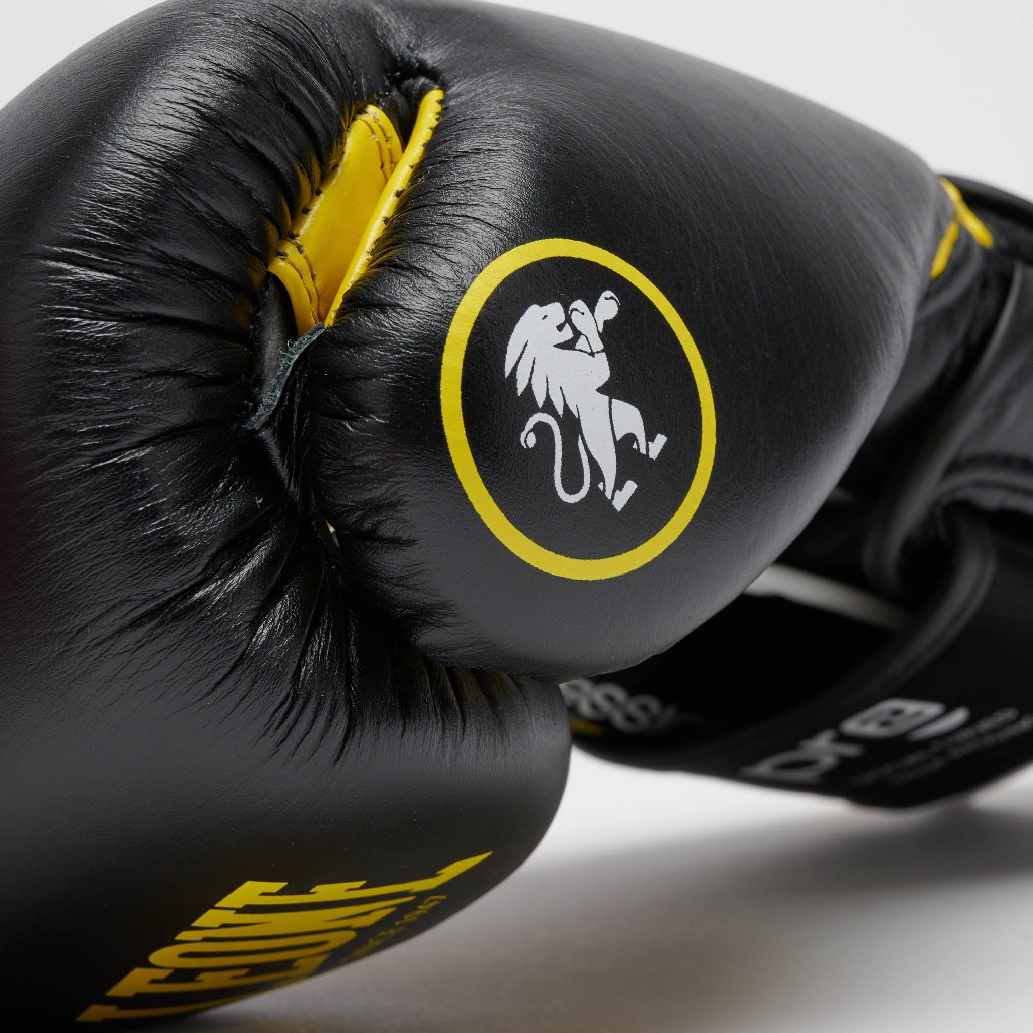 PROFESSIONAL 2 BOXING GLOVES