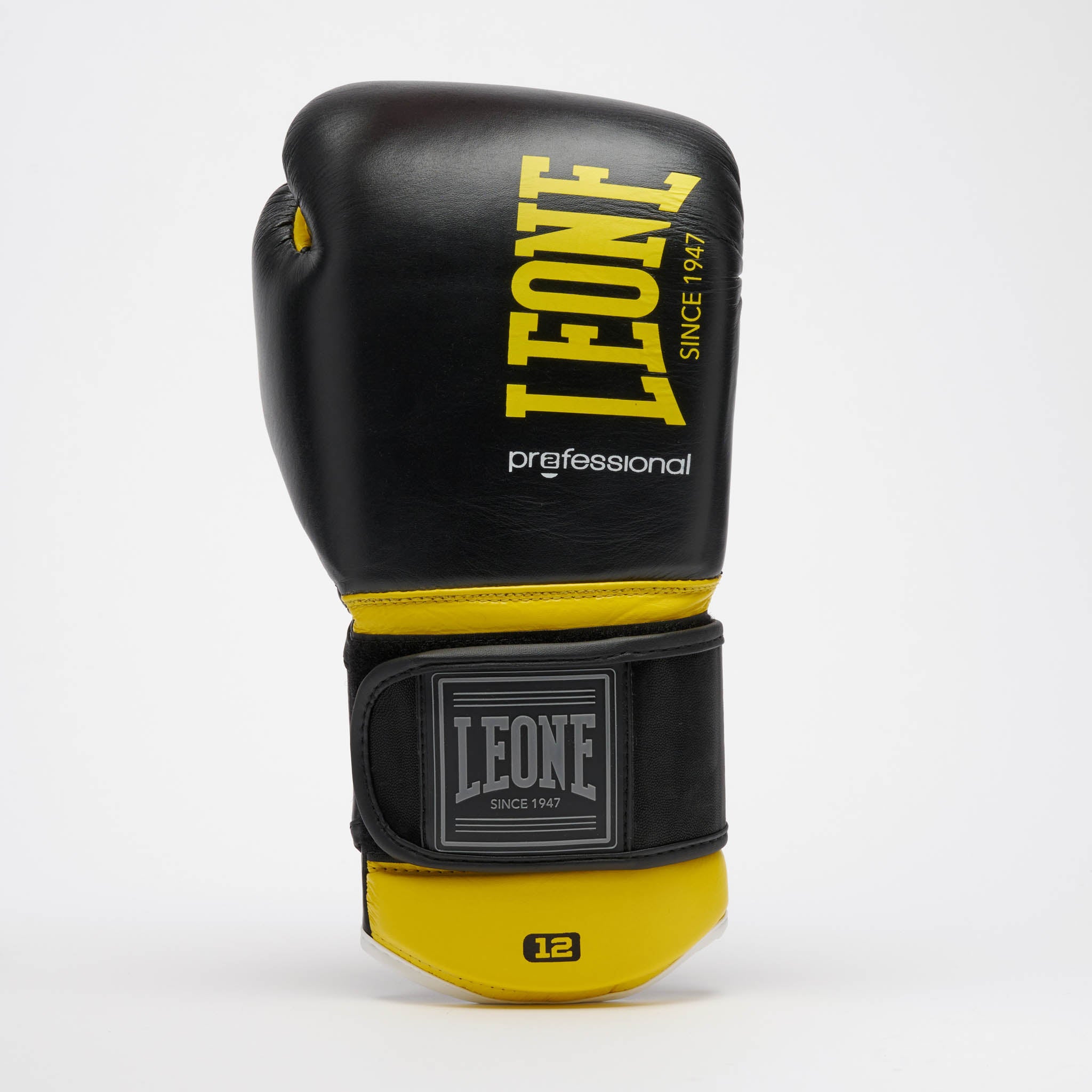PROFESSIONAL 2 BOXING GLOVES