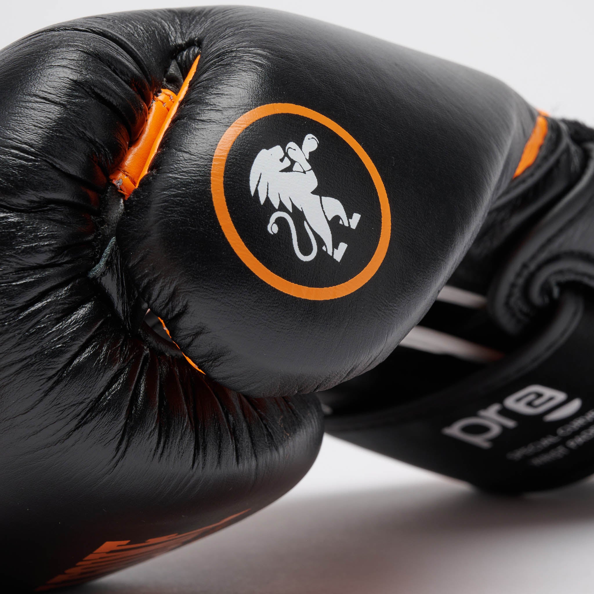 PROFESSIONAL 2 BOXING GLOVES