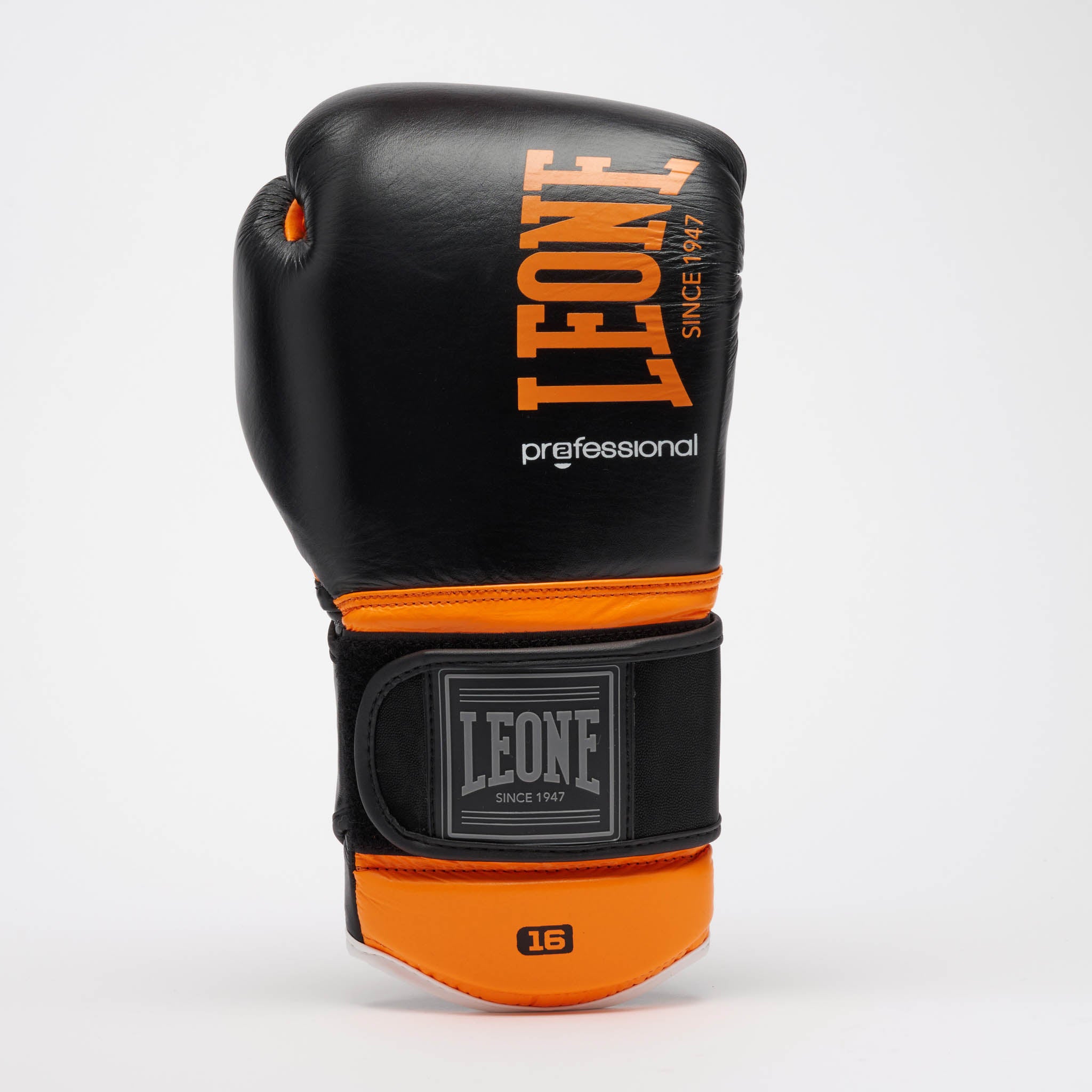 PROFESSIONAL 2 BOXING GLOVES
