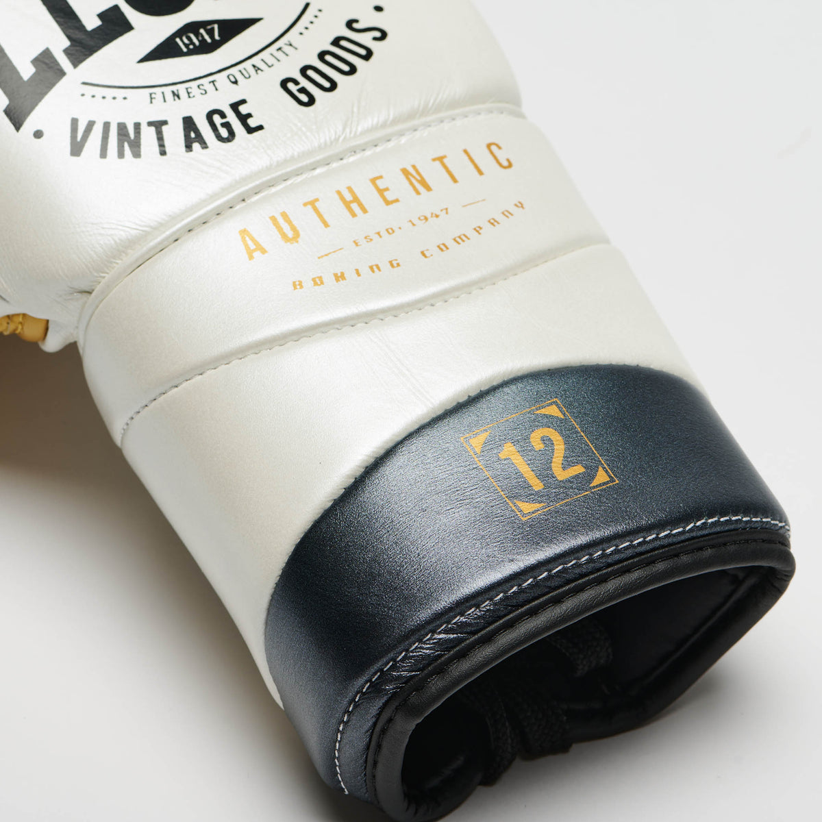 GUANTI BOXE AUTHENTIC 2