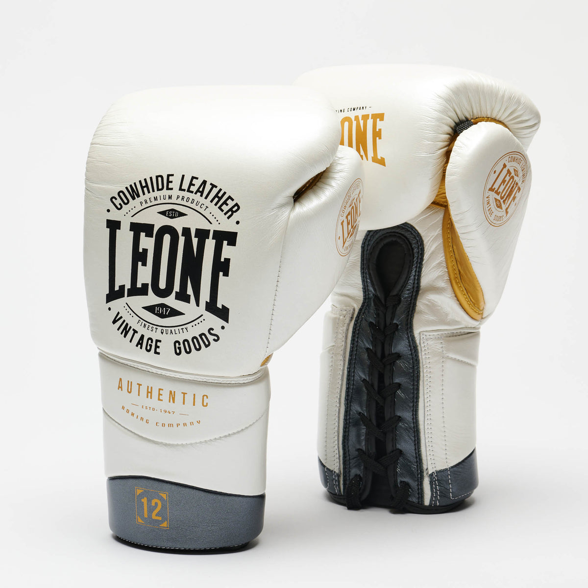 GUANTI BOXE AUTHENTIC 2