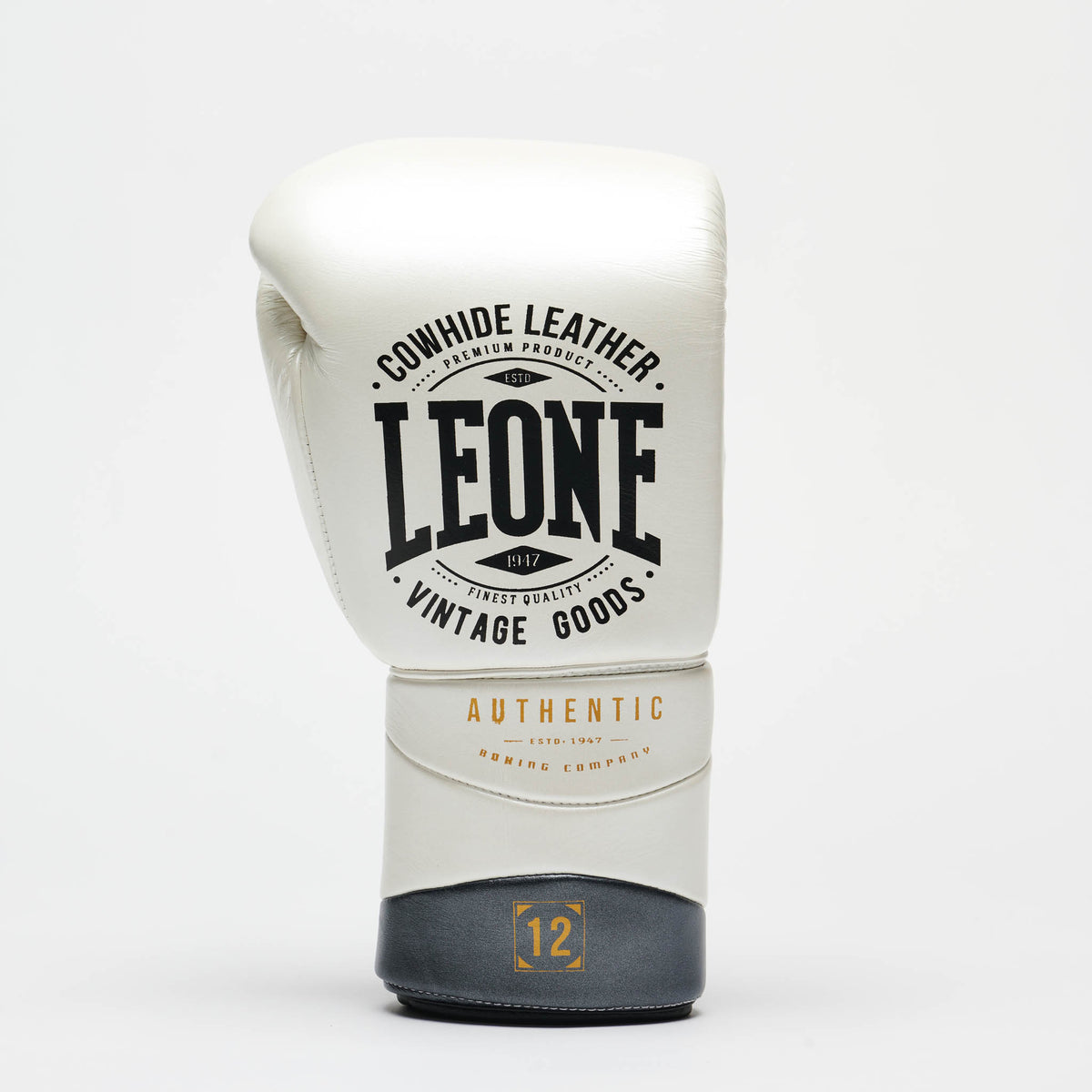 GUANTI BOXE AUTHENTIC 2