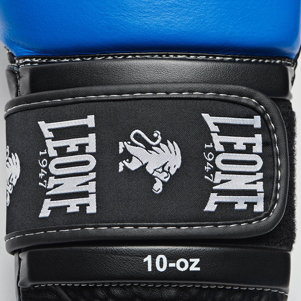 GUANTI BOXE AMBASSADOR