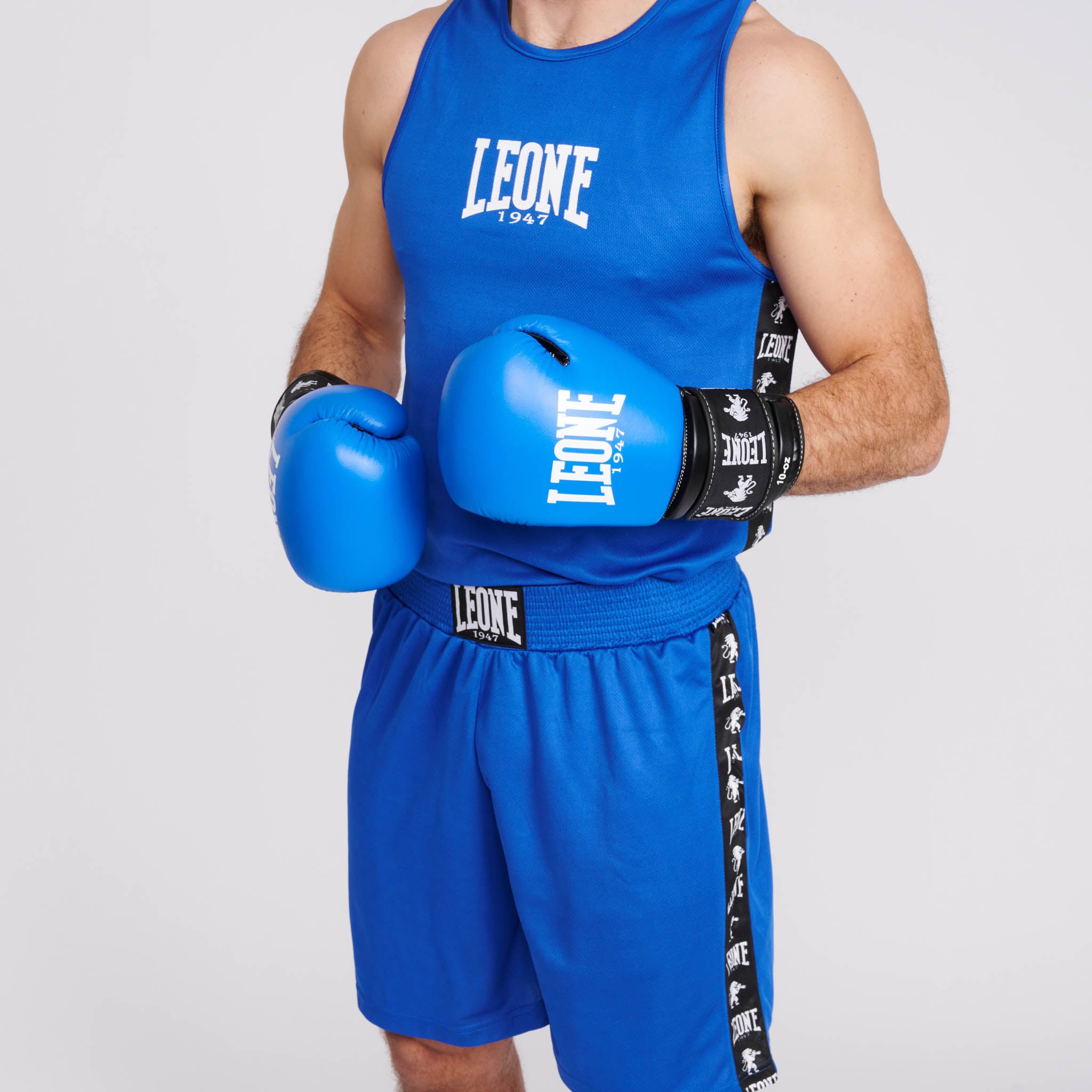 GUANTI BOXE AMBASSADOR