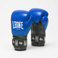 GUANTI BOXE AMBASSADOR