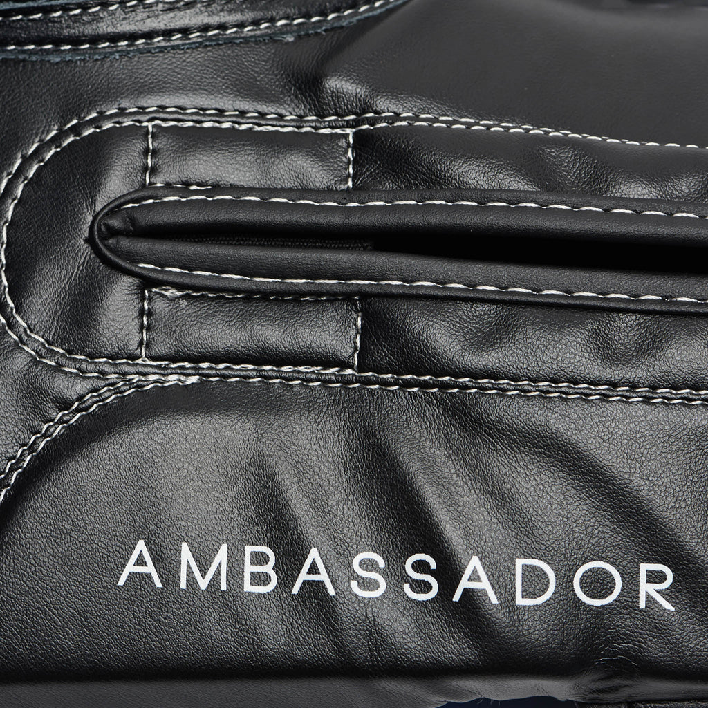 GUANTI BOXE AMBASSADOR