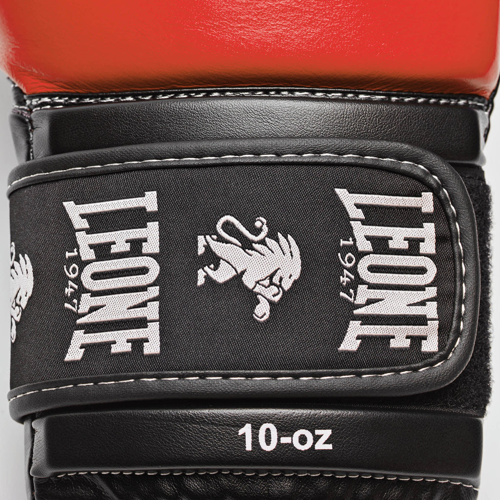GUANTI BOXE AMBASSADOR