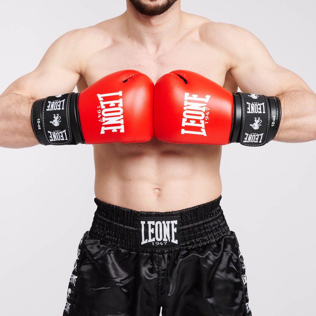 GUANTI BOXE AMBASSADOR