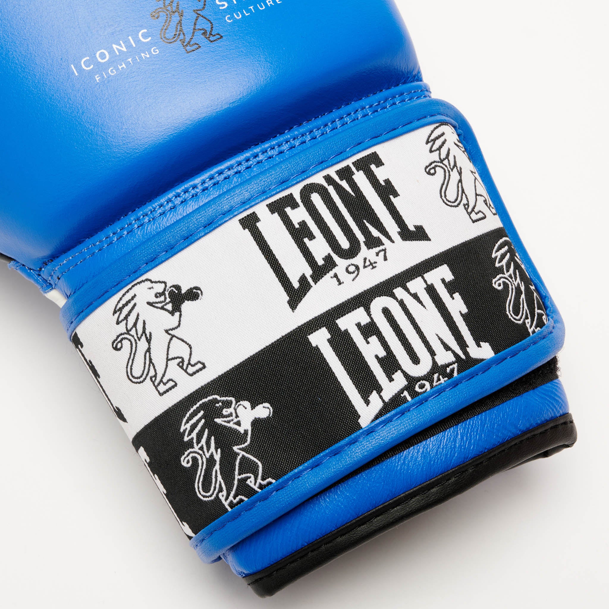 ICONIC BOXING GLOVES