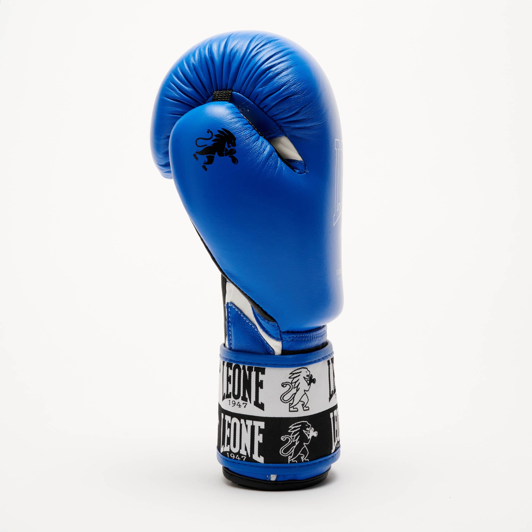 ICONIC BOXING GLOVES