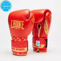 GUANTI BOXE DNA WAKO APPROVED