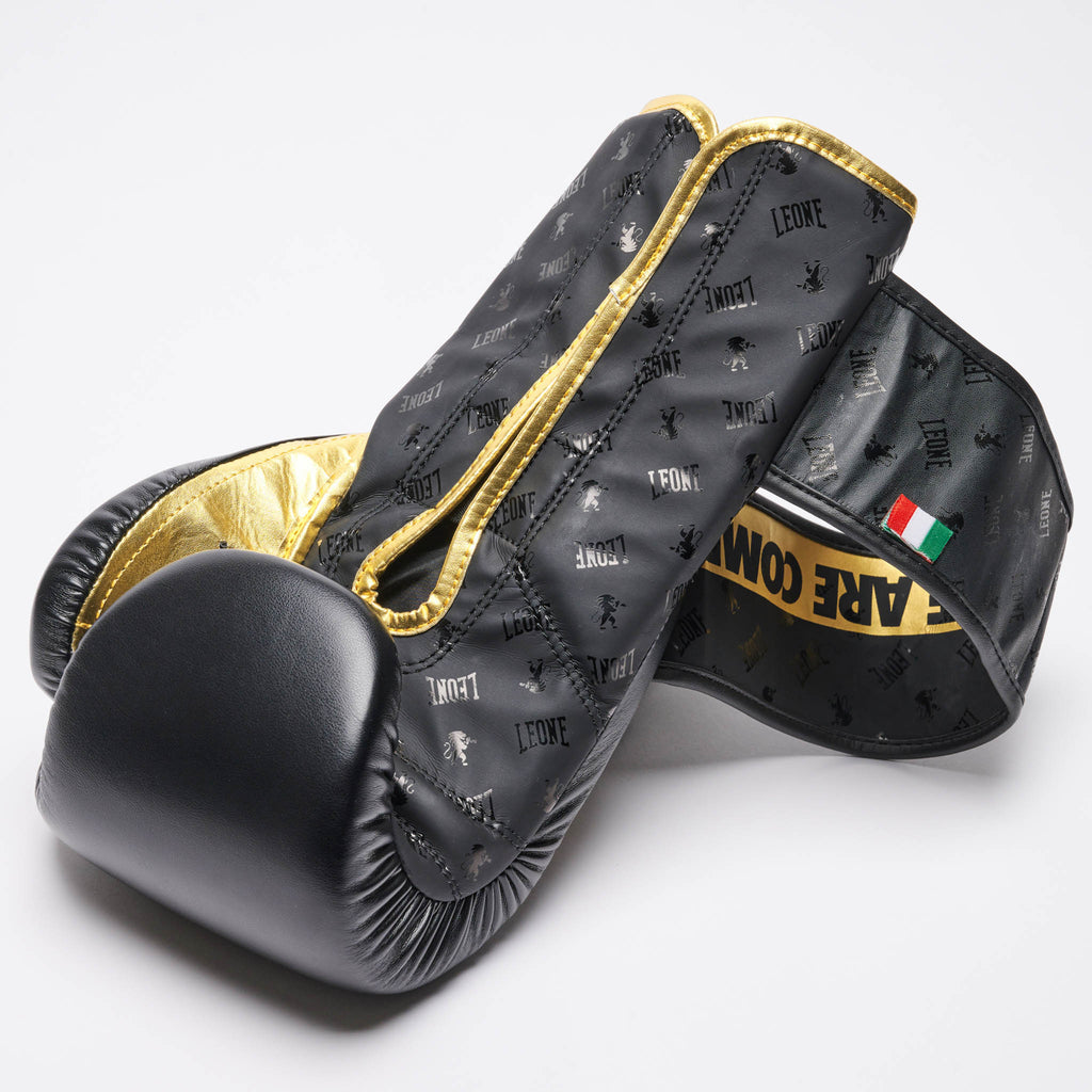 GUANTI BOXE DNA