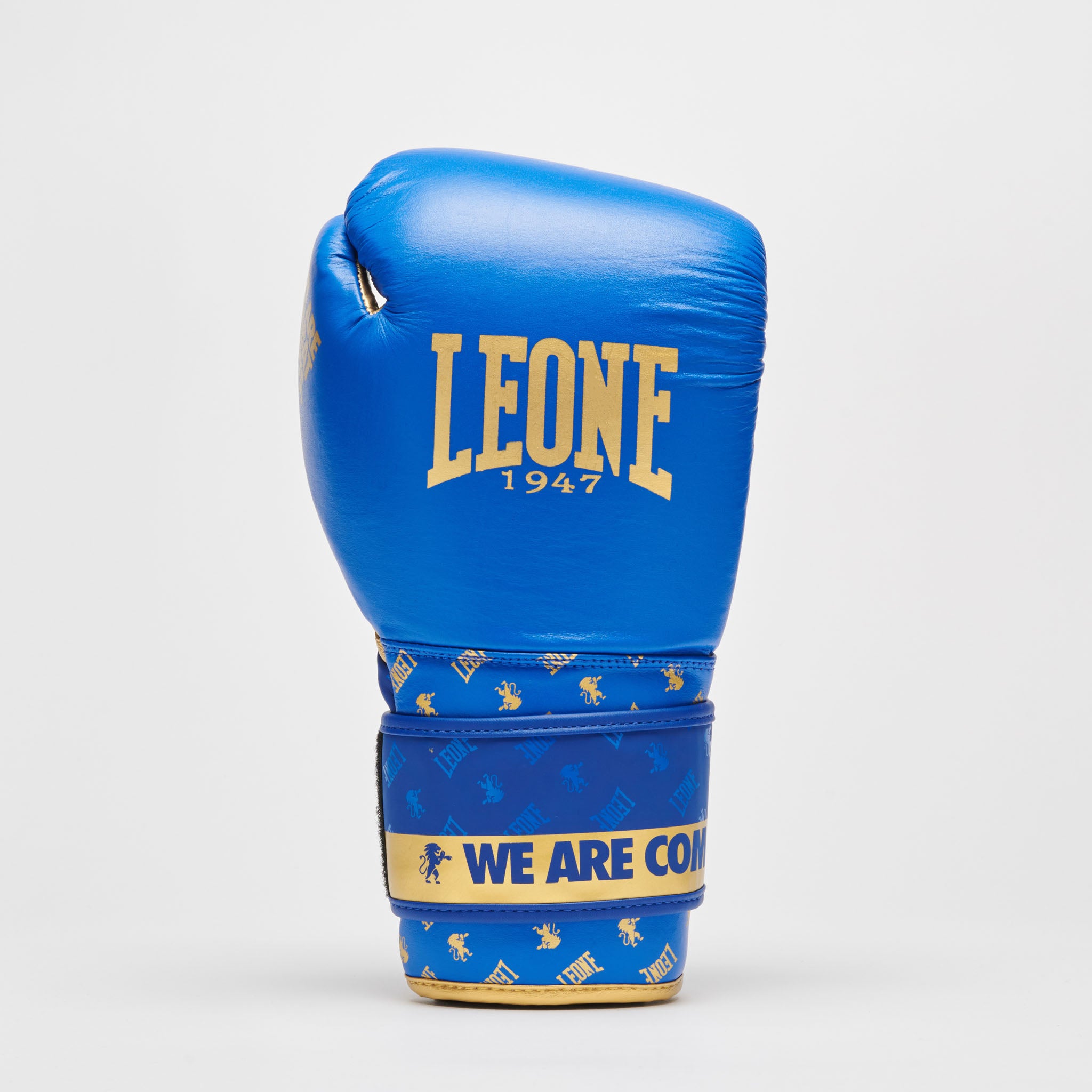GUANTI BOXE DNA