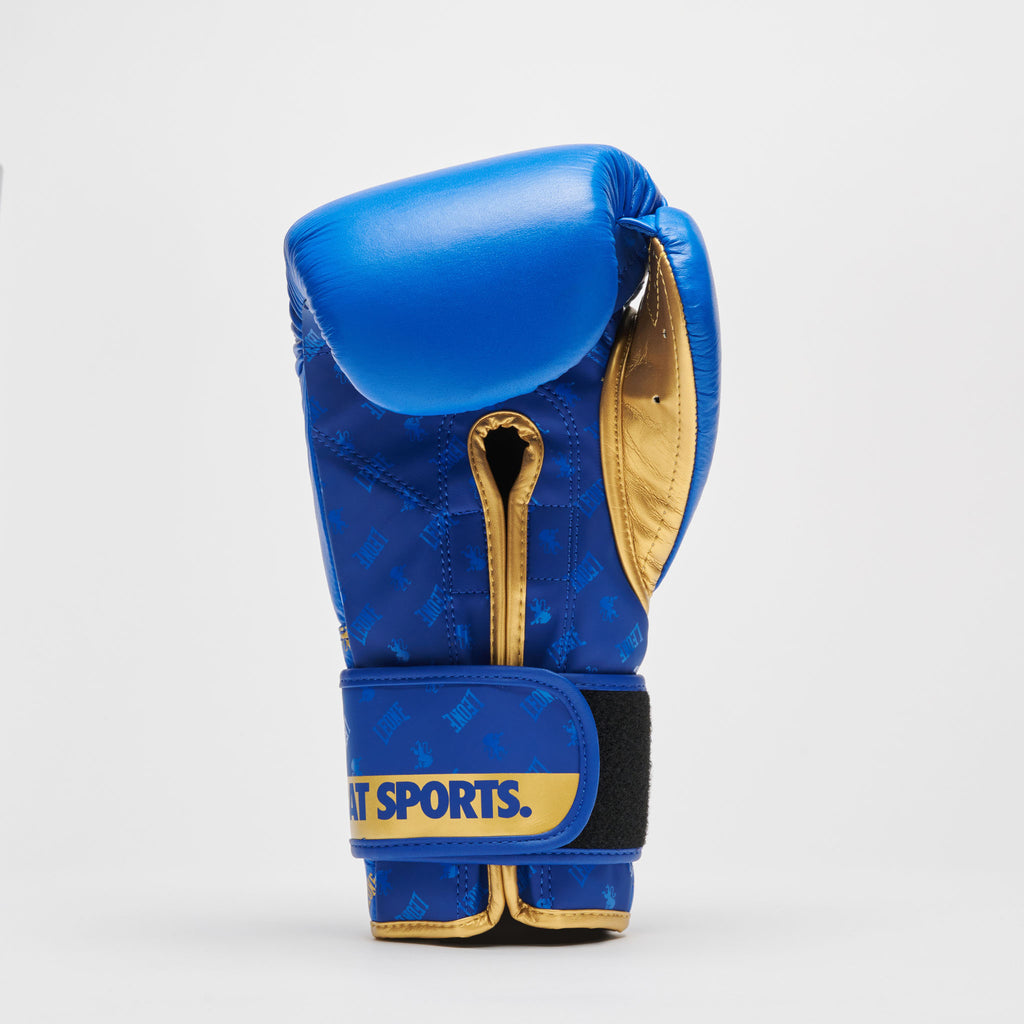GUANTI BOXE DNA