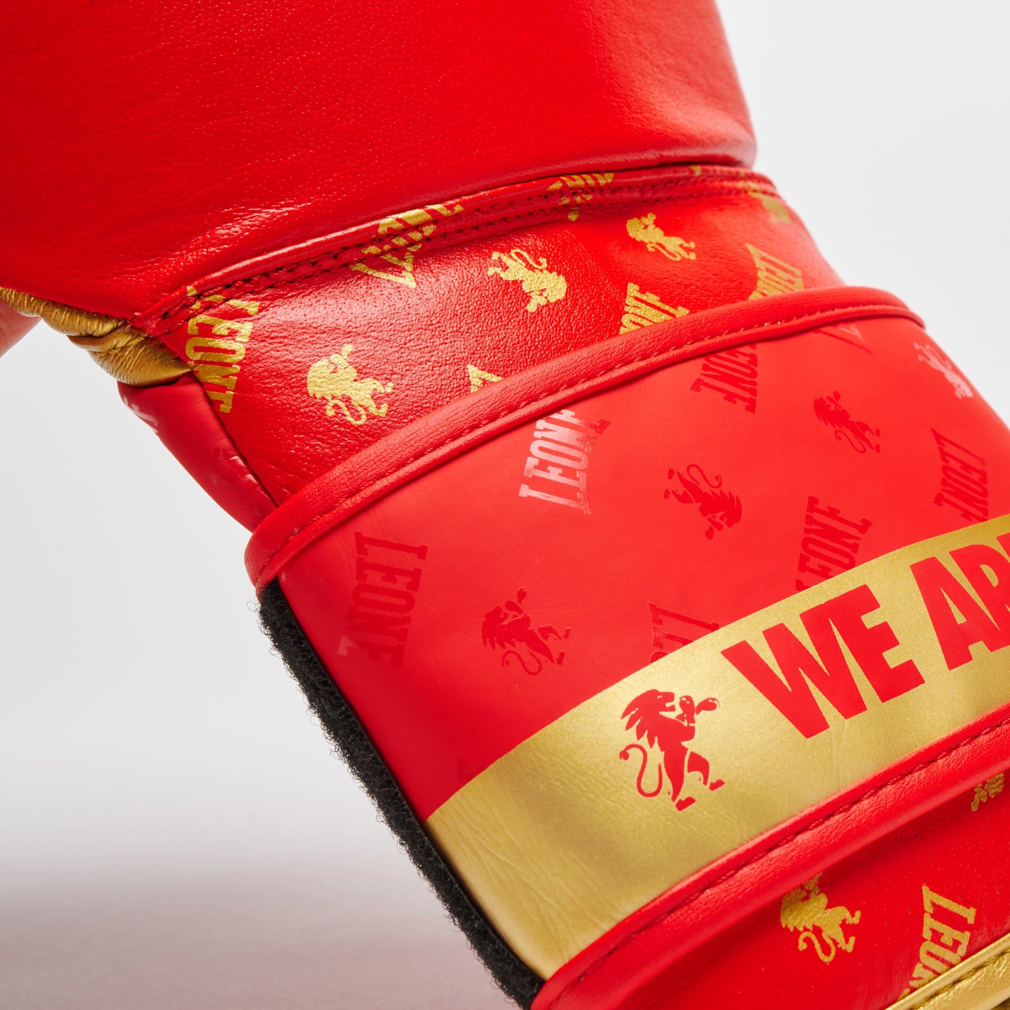 BOXING GLOVES DNA