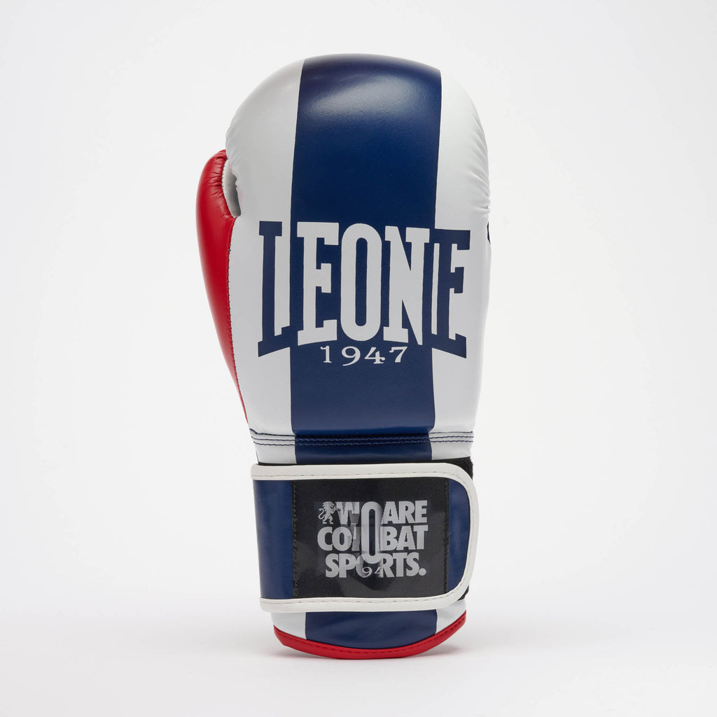 GUANTI BOXE COLOR BLOCK