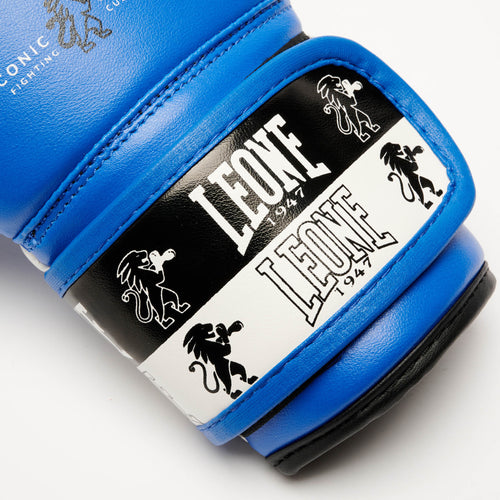 GUANTI BOXE ICONIC JUNIOR