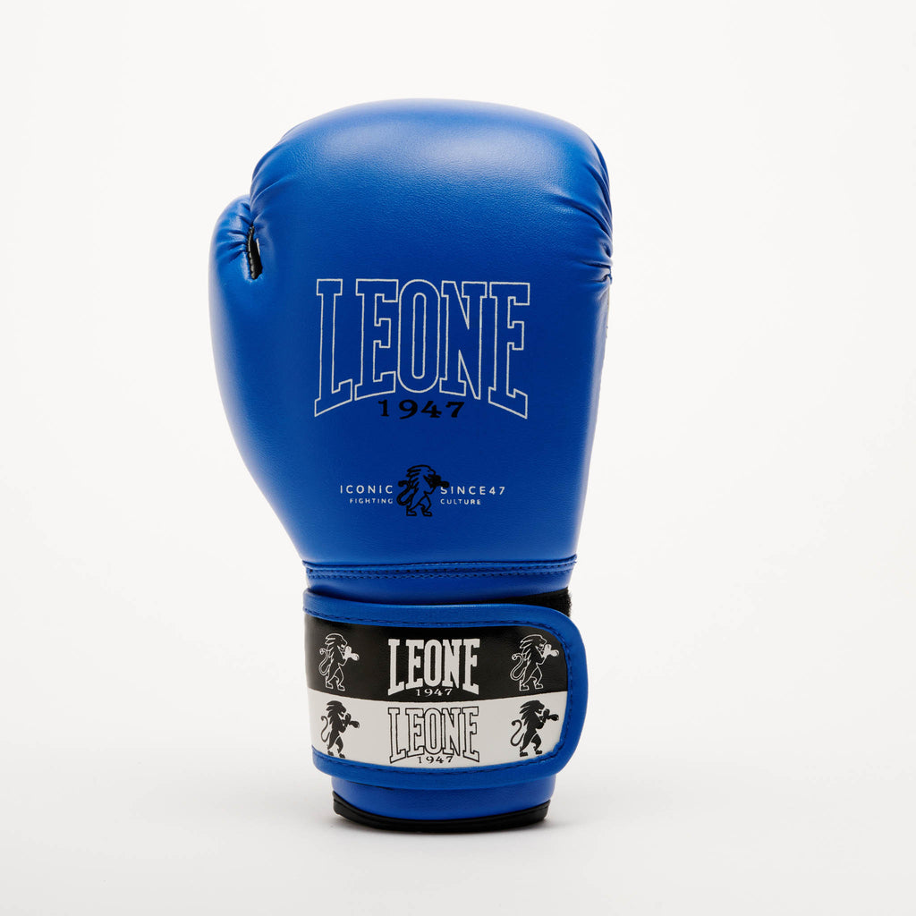 GUANTI BOXE ICONIC JUNIOR