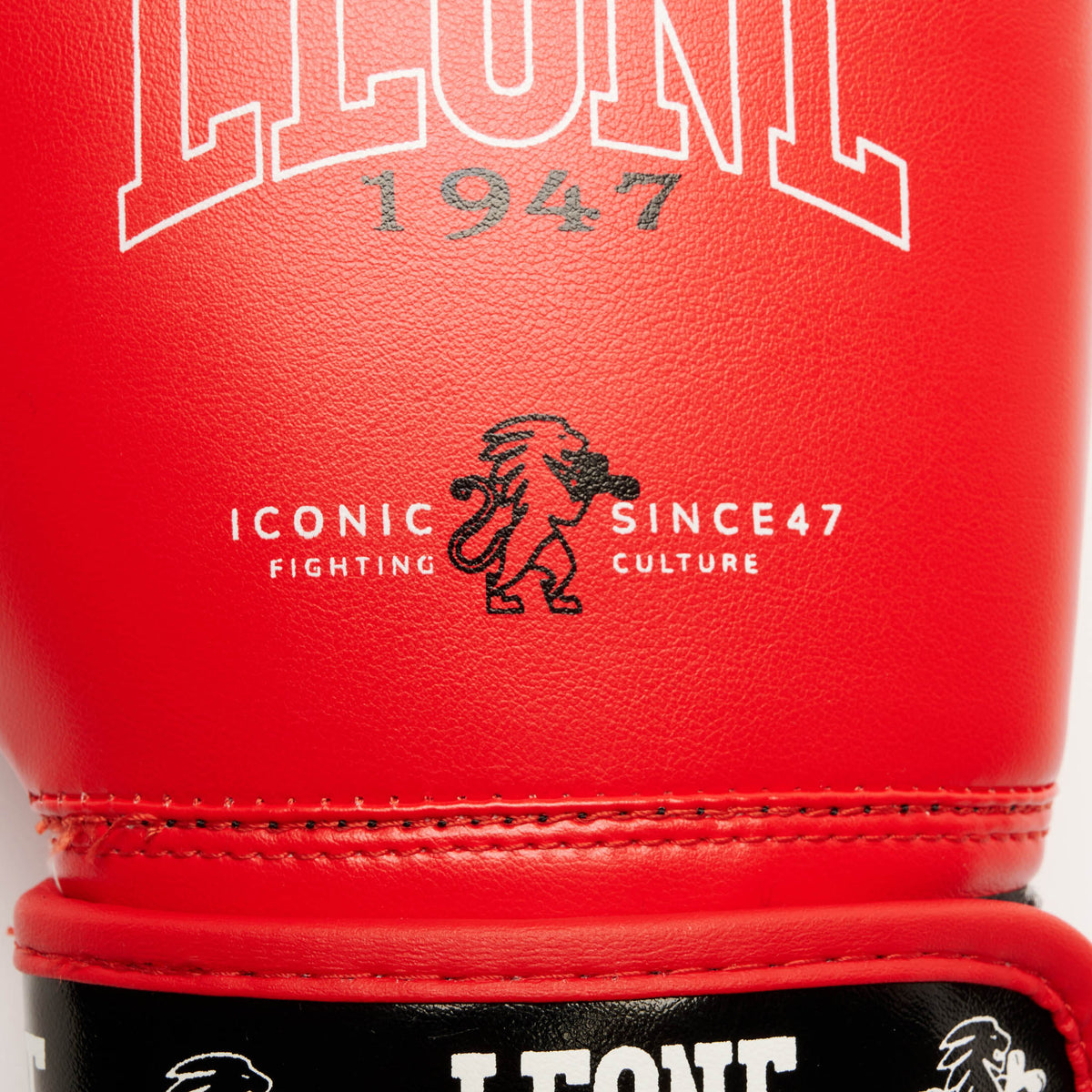 GUANTI BOXE ICONIC JUNIOR