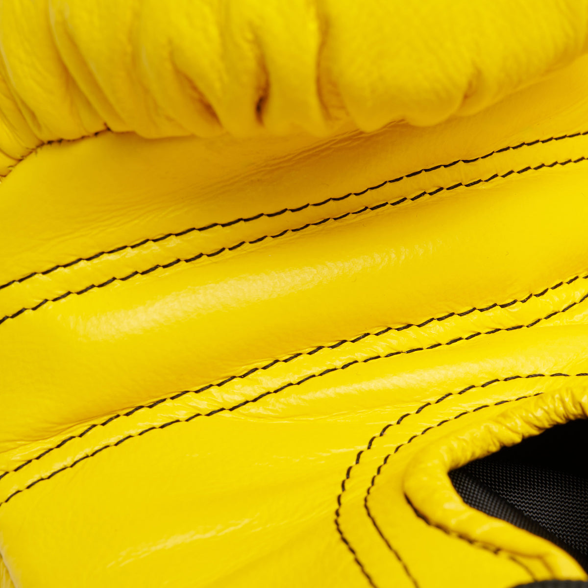 GUANTI BOXE ORLANDO CLASSICO LACCI