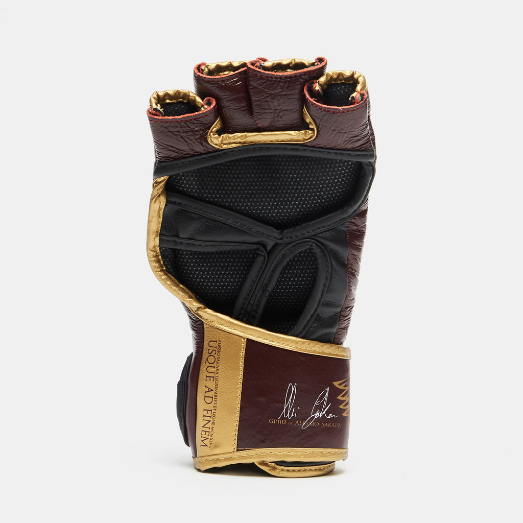 GUANTI MMA LEGIONARIVS II
