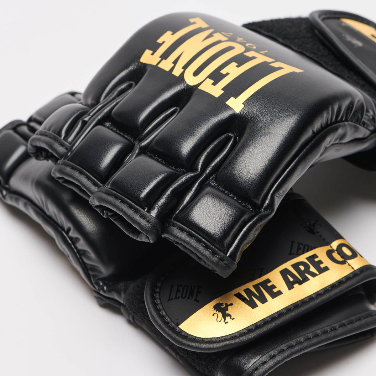 GUANTI MMA DNA