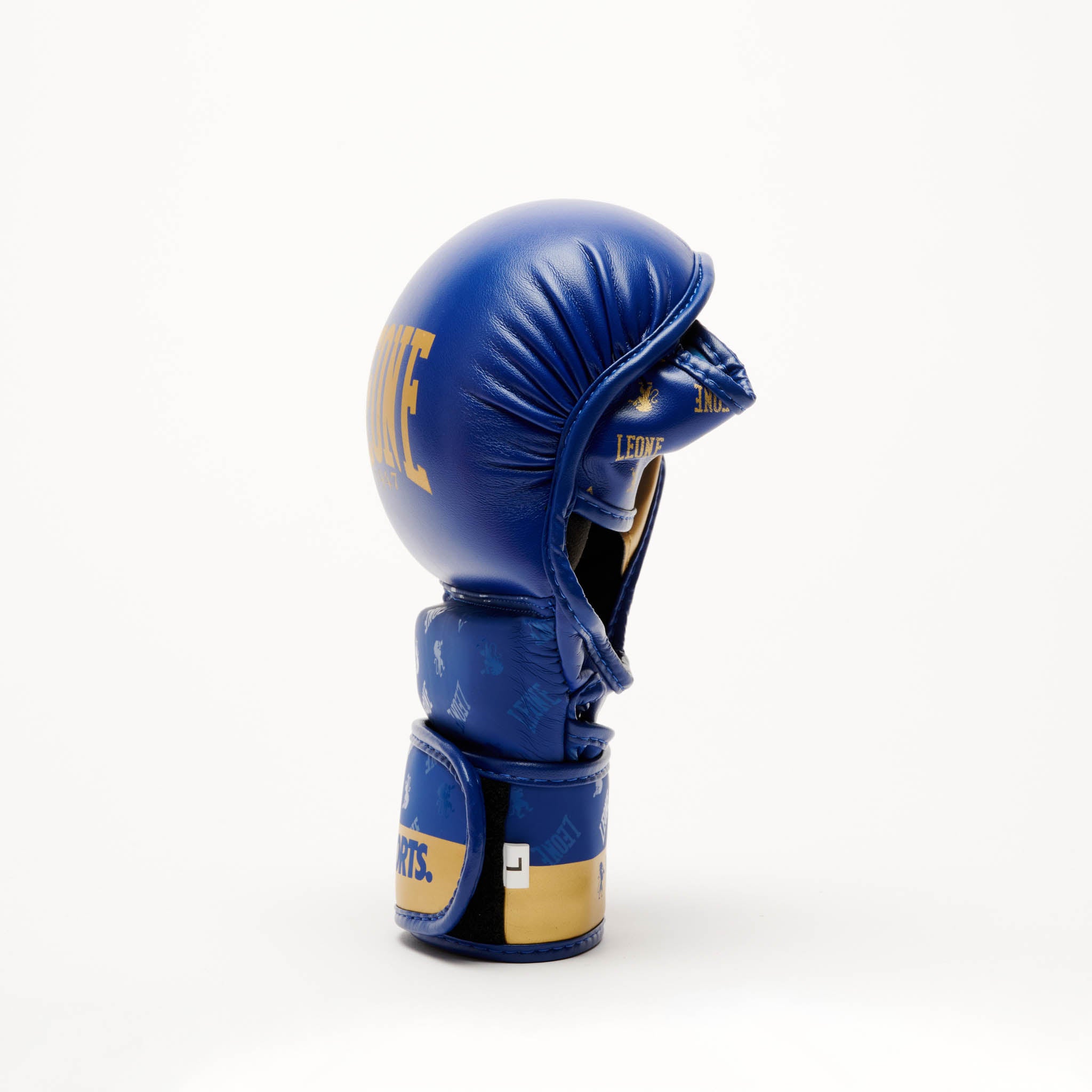 GUANTI MMA DNA