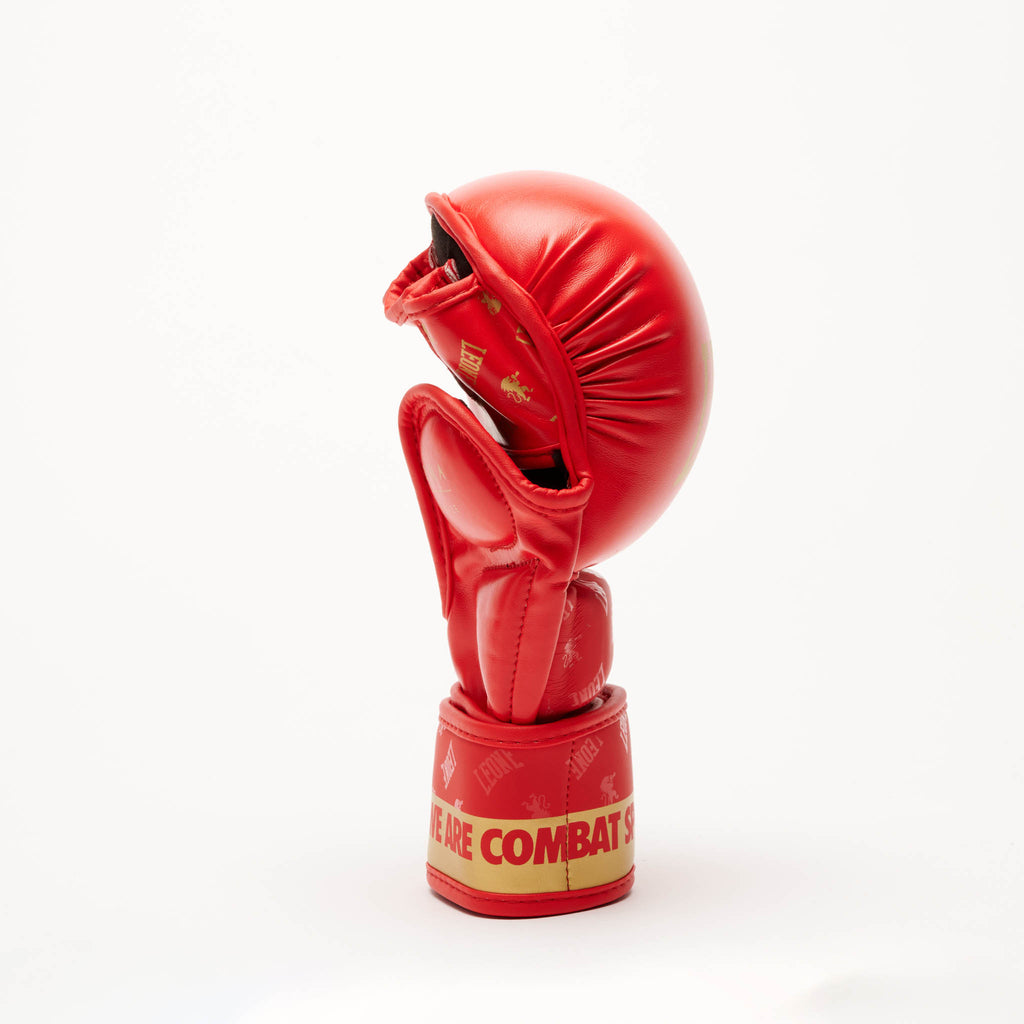 GUANTI MMA DNA