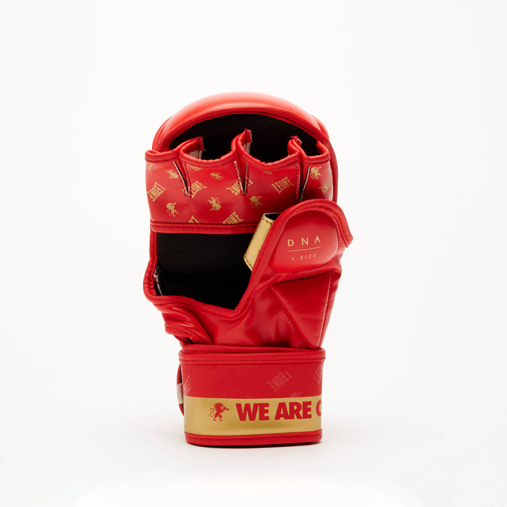 GUANTI MMA DNA