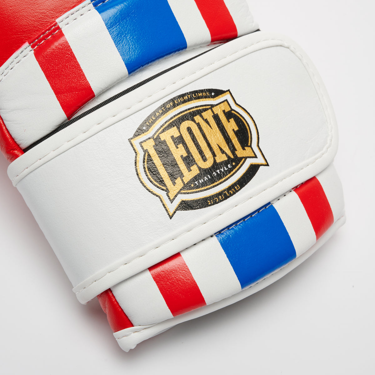 GUANTI BOXE THAI STYLE