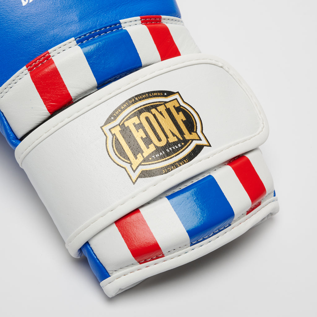 GUANTI BOXE THAI STYLE