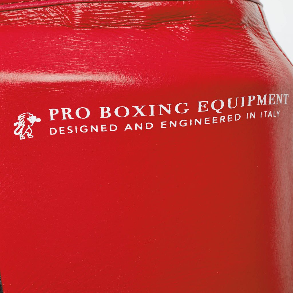 CINTURA PRO BOXE THE GREATEST