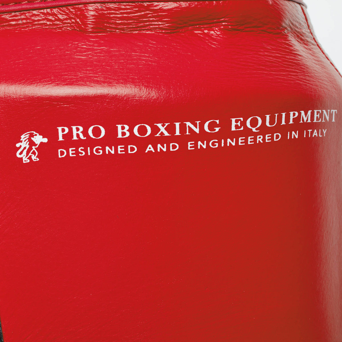 CINTURA PRO BOXE THE GREATEST