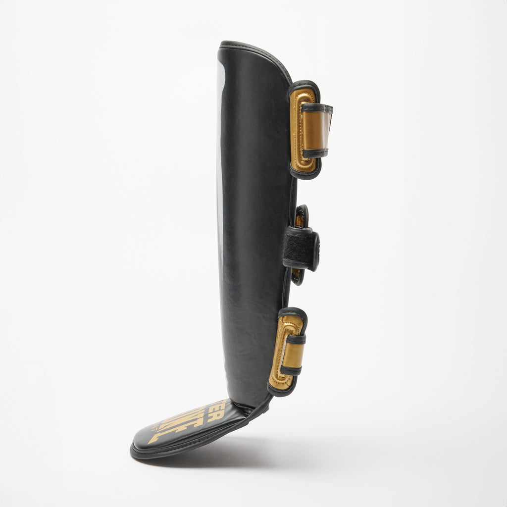 PARATIBIA LEONE X IUTER