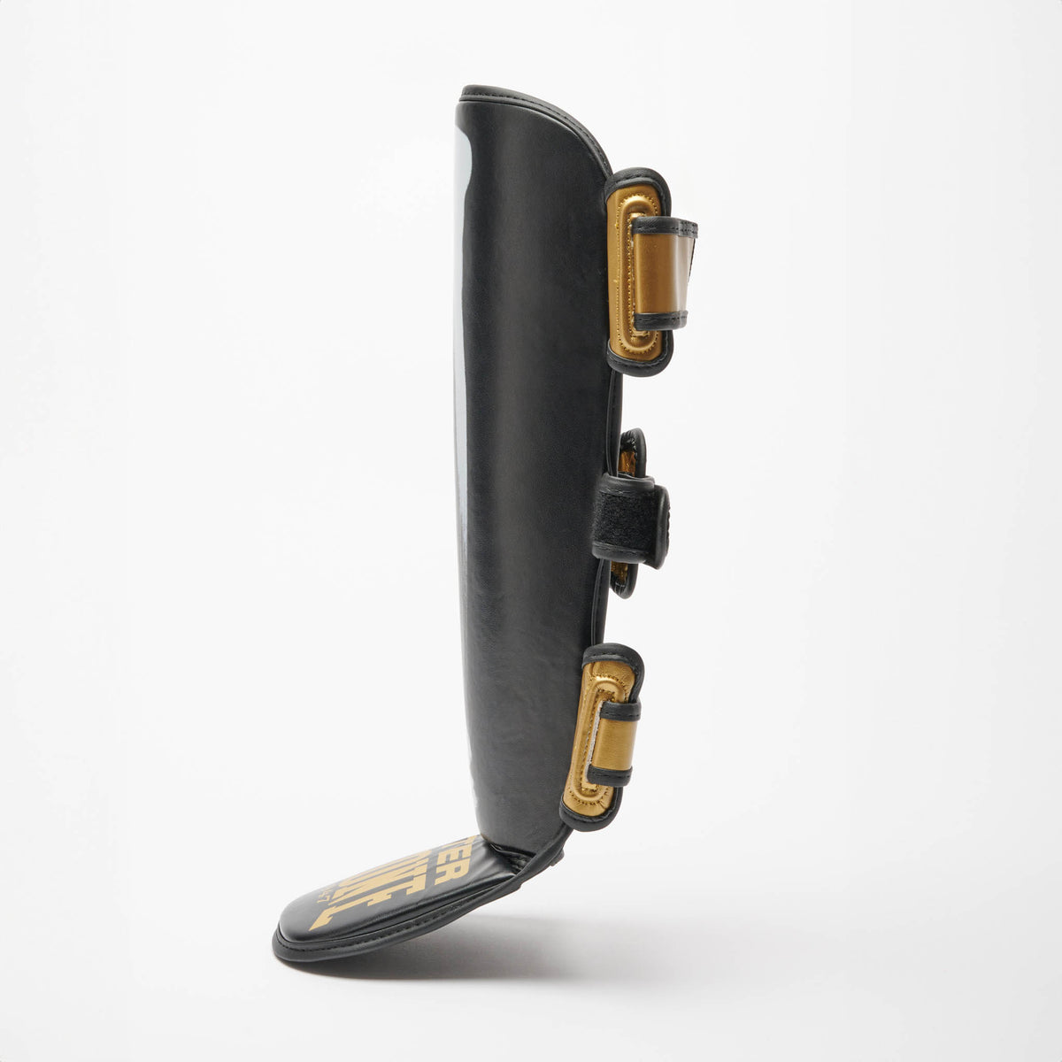 PARATIBIA LEONE X IUTER