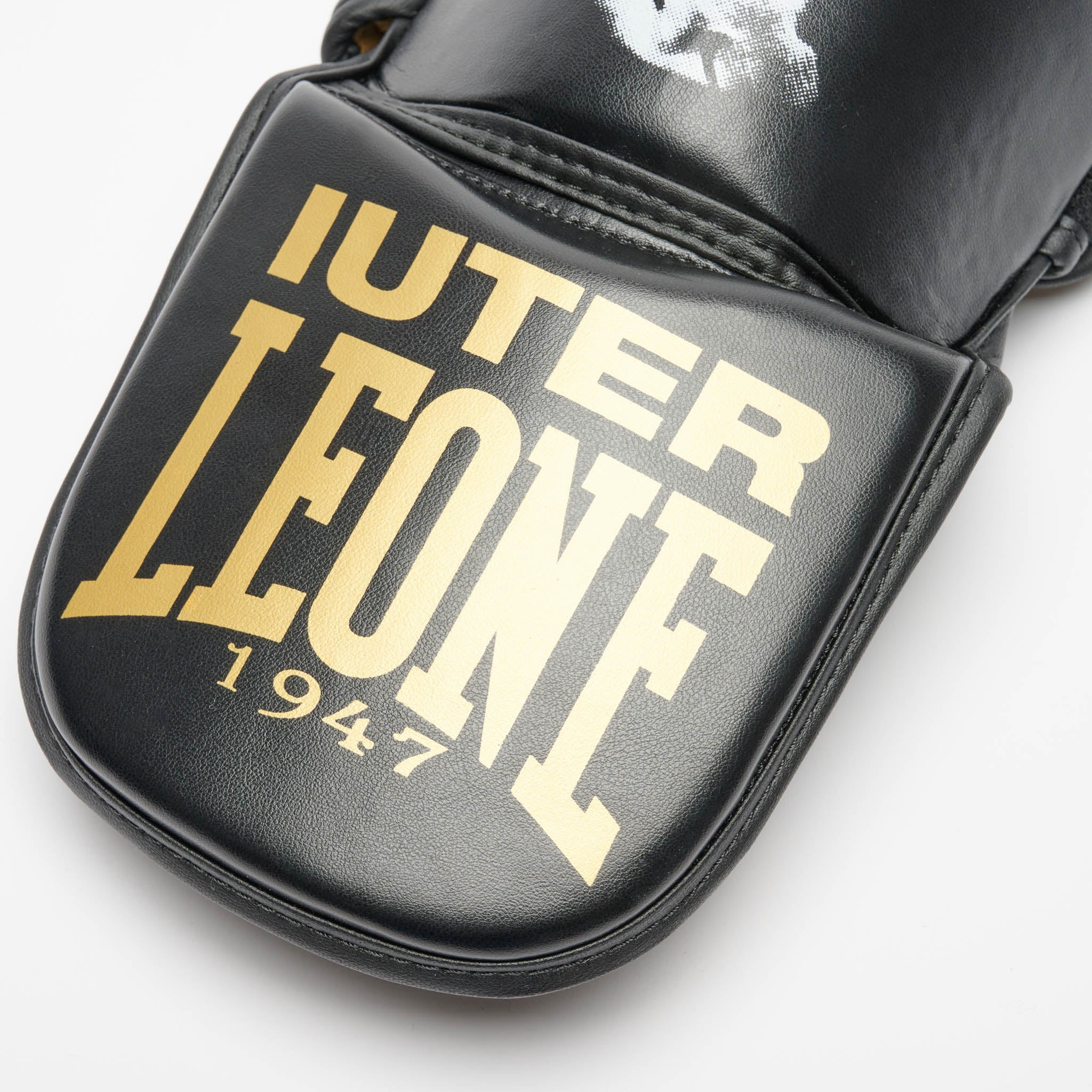 PARATIBIA LEONE X IUTER