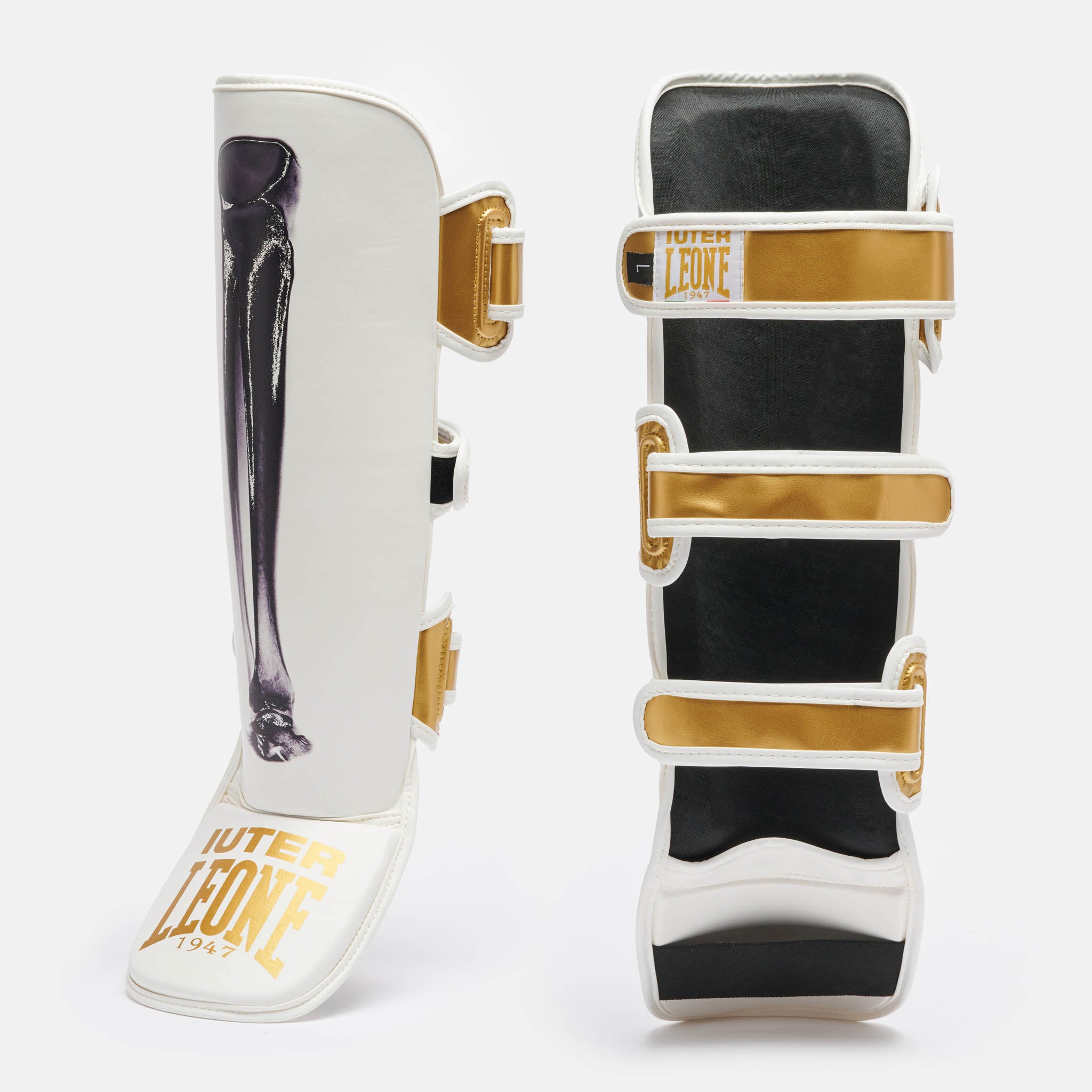 PARATIBIA LEONE X IUTER