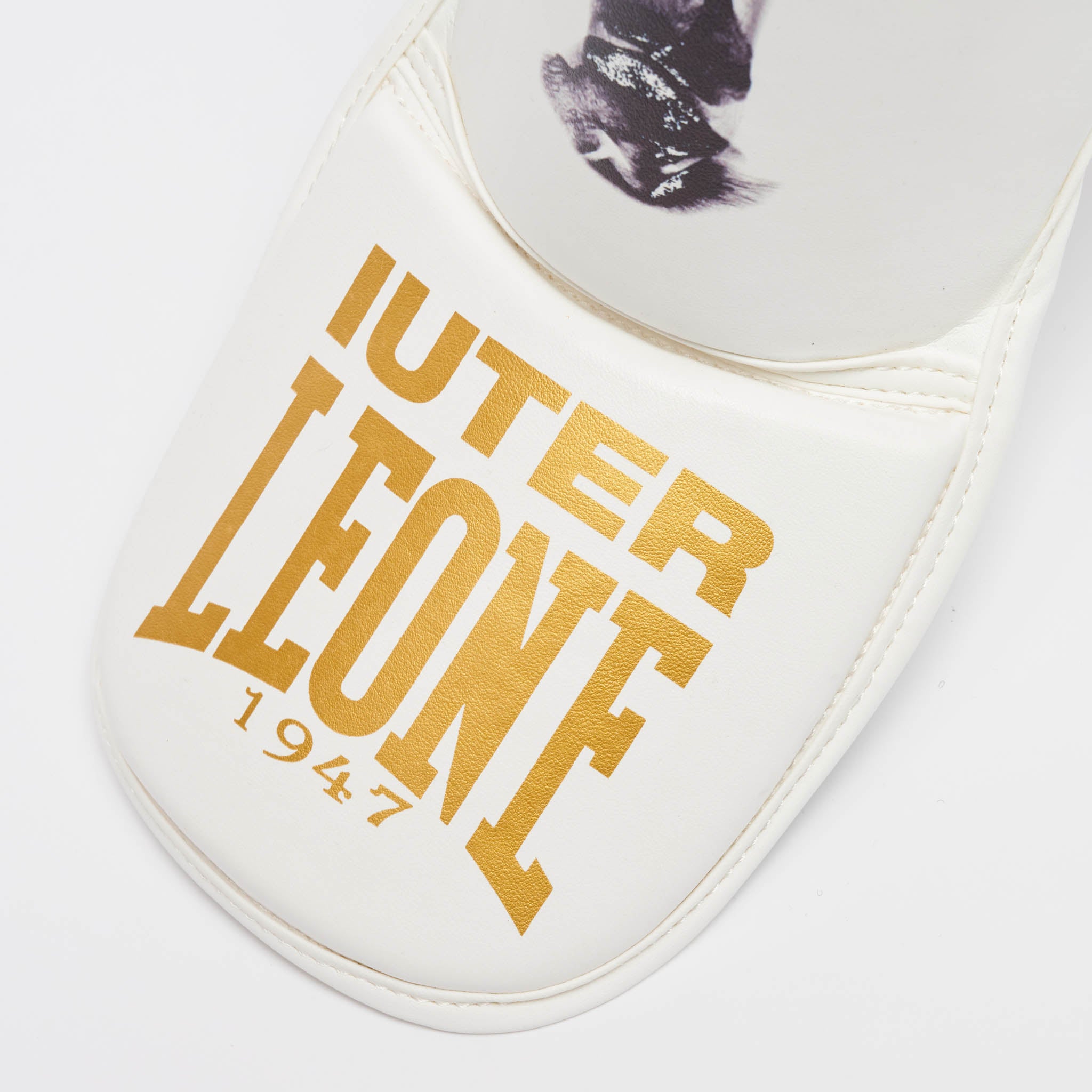 PARATIBIA LEONE X IUTER