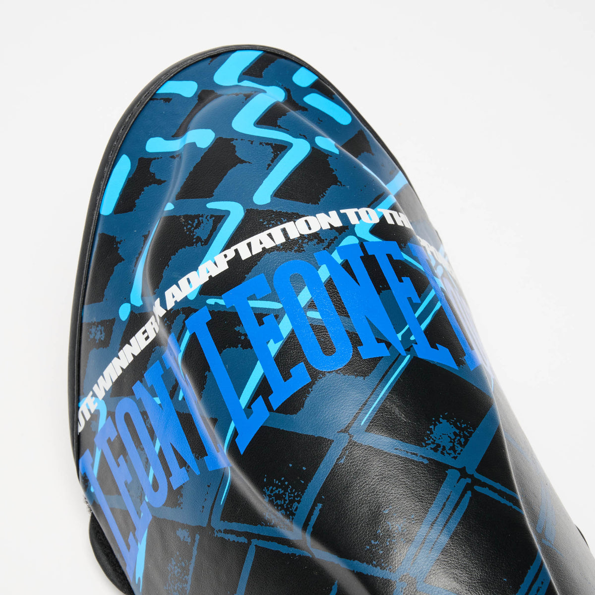 PARATIBIA MMA CAGE