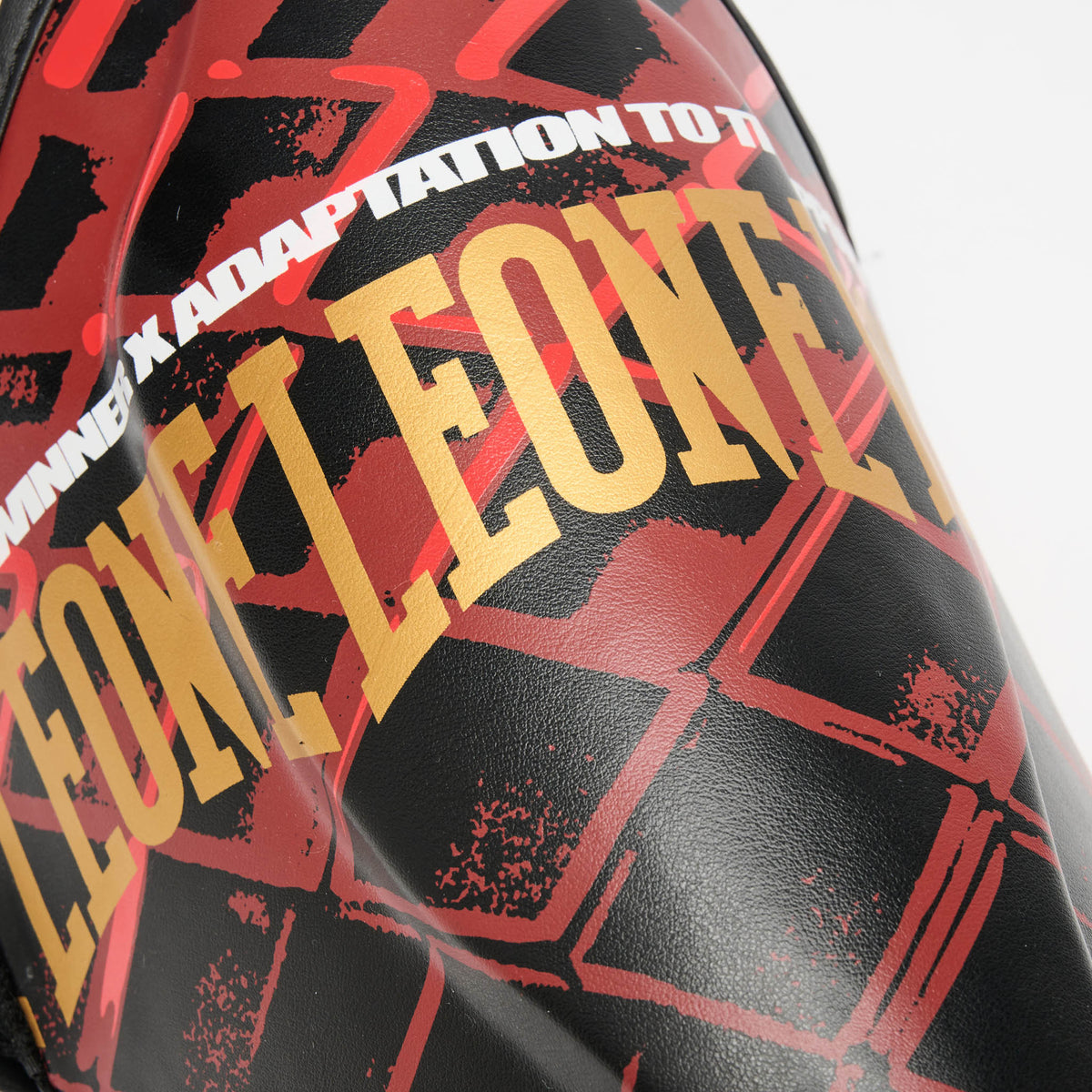 PARATIBIA MMA CAGE