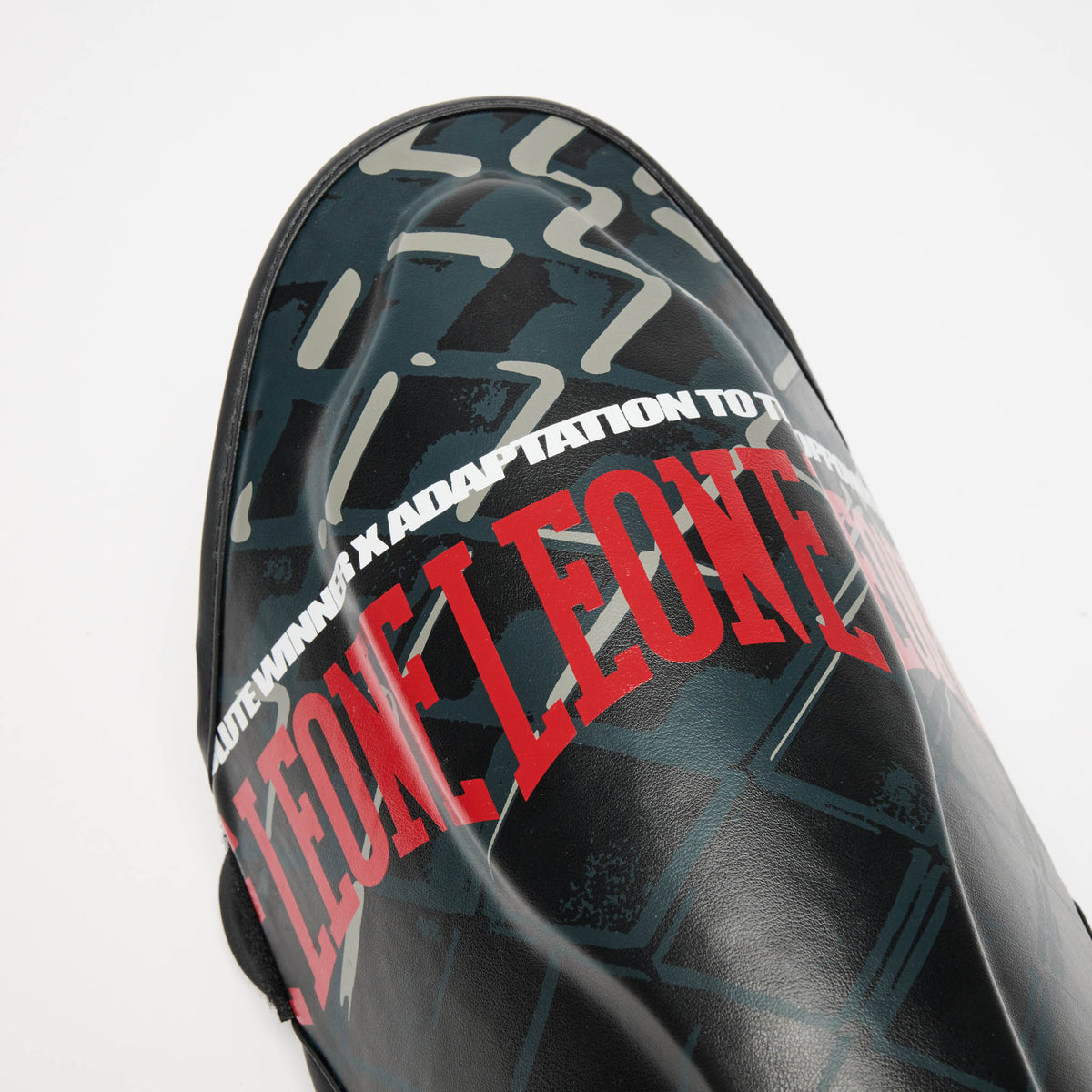 PARATIBIA MMA CAGE