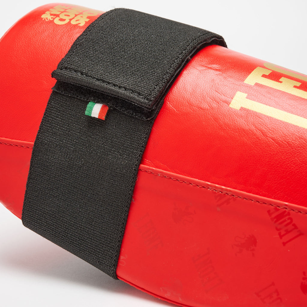 SHINGUARDS DNA